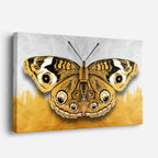 Mariposa Mirada Dorada