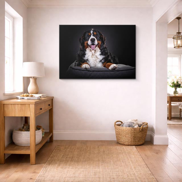 cuadro canvas mascotas rey bernés horizontal