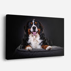 cuadro canvas mascotas rey bernés horizontal
