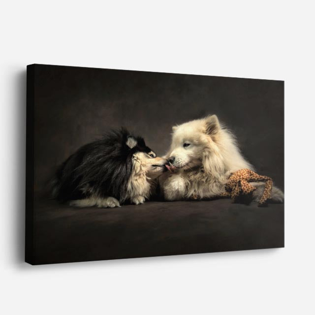 cuadro canvas mascotas dúo boreal horizontal