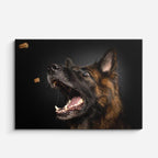 cuadro canvas mascotas instinto alemán horizontal