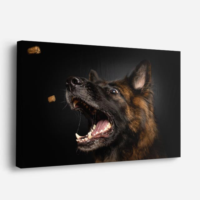 cuadro canvas mascotas instinto alemán horizontal