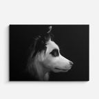 cuadro canvas mascotas perfil husky horizontal