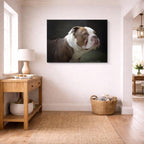 cuadro canvas mascotas mirada bulldog horizontal