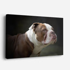 cuadro canvas mascotas mirada bulldog horizontal