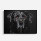 cuadro canvas mascotas labrador nocturno horizontal