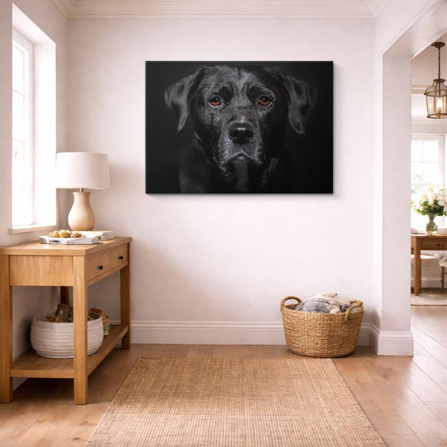 cuadro canvas mascotas labrador nocturno horizontal