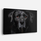cuadro canvas mascotas labrador nocturno horizontal