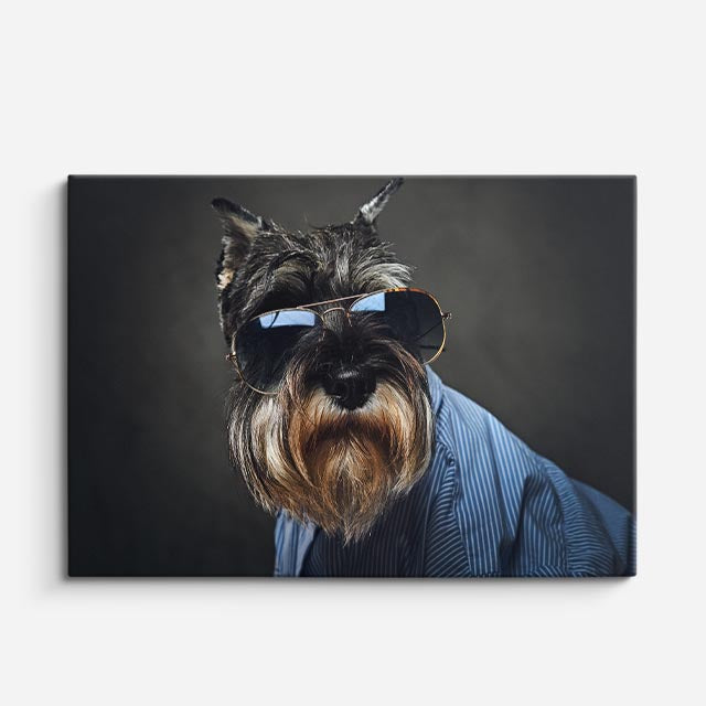 cuadro canvas mascotas caballero schnauzer horizontal