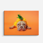 cuadro canvas mascotas bulldog tropical horizontal