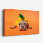 cuadro canvas mascotas bulldog tropical horizontal