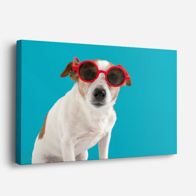cuadro canvas mascotas gafas escarlata horizontal