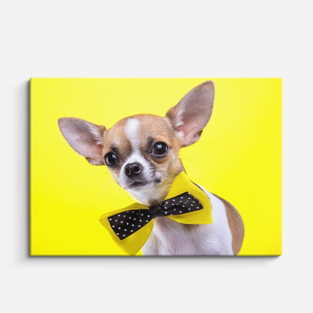 cuadro canvas mascotas moño mostaza horizontal