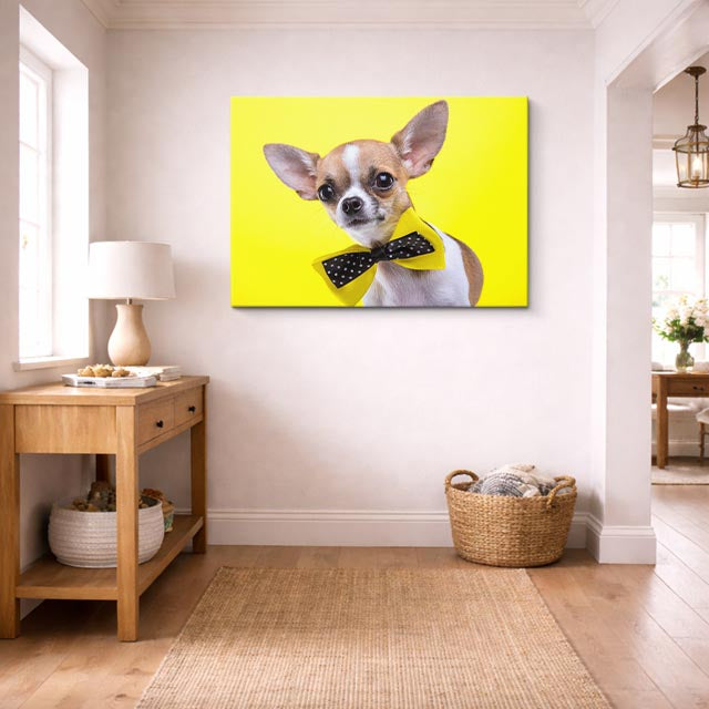 cuadro canvas mascotas moño mostaza horizontal