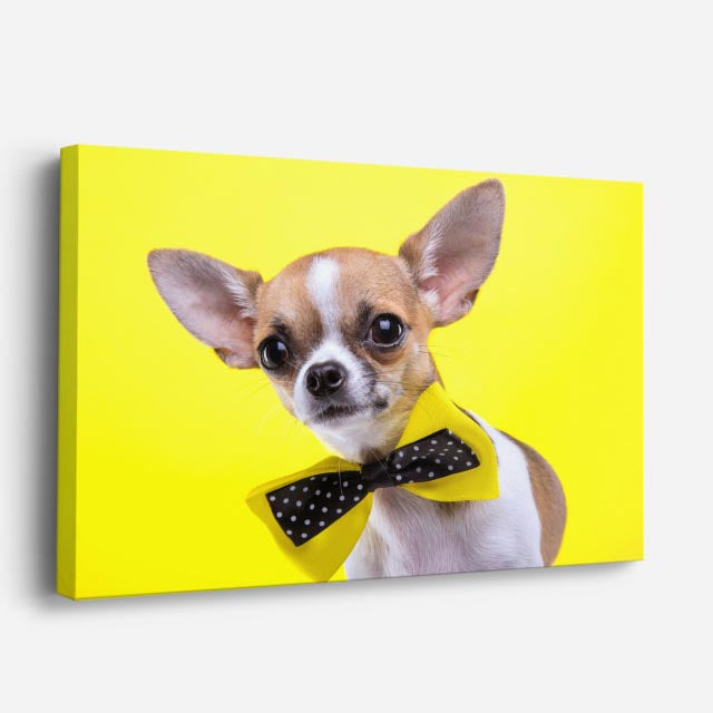 cuadro canvas mascotas moño mostaza horizontal