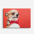 cuadro canvas mascotas moño carmesí horizontal
