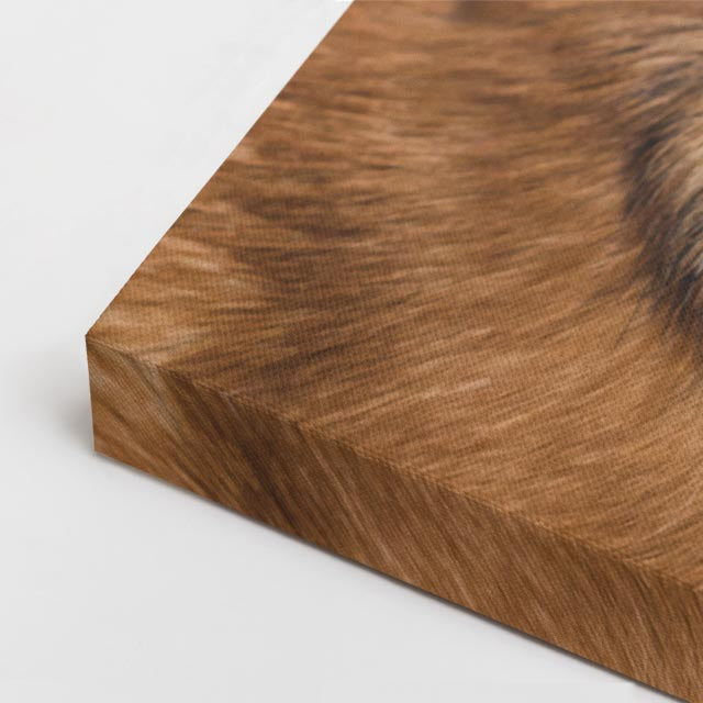 cuadro canvas mascotas moño cobalto horizontal