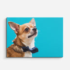 cuadro canvas mascotas moño cobalto horizontal