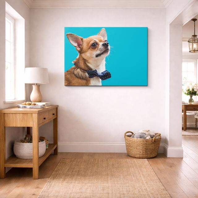cuadro canvas mascotas moño cobalto horizontal