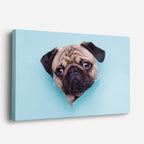cuadro canvas mascotas retrato pug horizontal