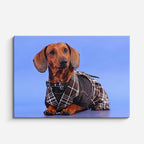 cuadro canvas mascotas dandi salchicha horizontal