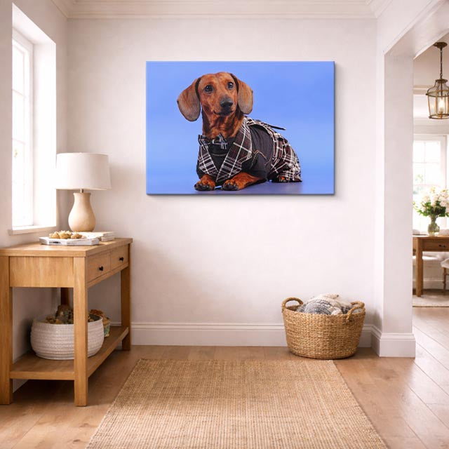 cuadro canvas mascotas dandi salchicha horizontal