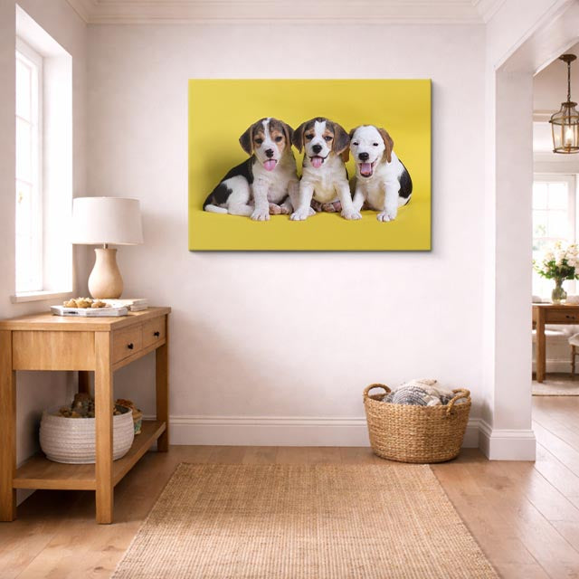 cuadro canvas mascotas trío travieso horizontal