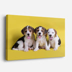 cuadro canvas mascotas trío travieso horizontal