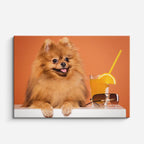 cuadro canvas mascotas pom pom solar horizontal