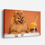 cuadro canvas mascotas pom pom solar horizontal