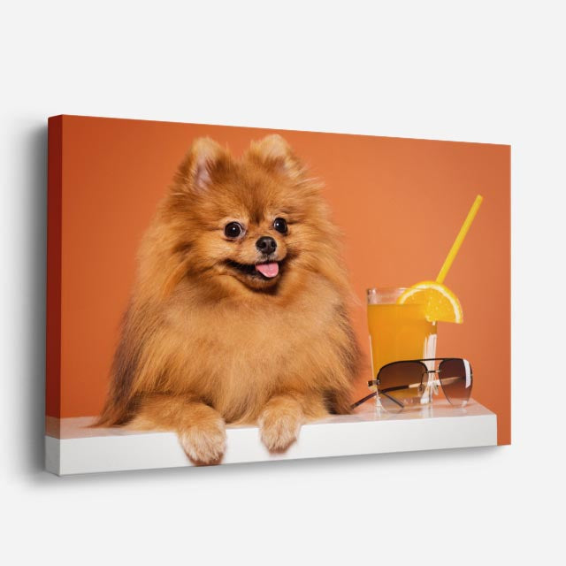 cuadro canvas mascotas pom pom solar horizontal