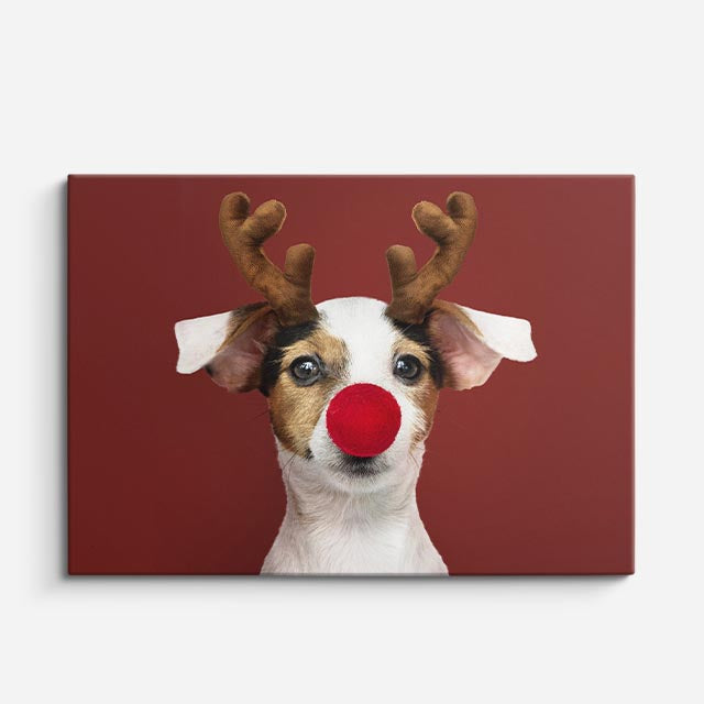cuadro canvas mascotas nariz navideña horizontal