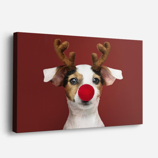 cuadro canvas mascotas nariz navideña horizontal