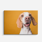 cuadro canvas mascotas sonrisa beagle horizontal