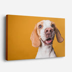 cuadro canvas mascotas sonrisa beagle horizontal