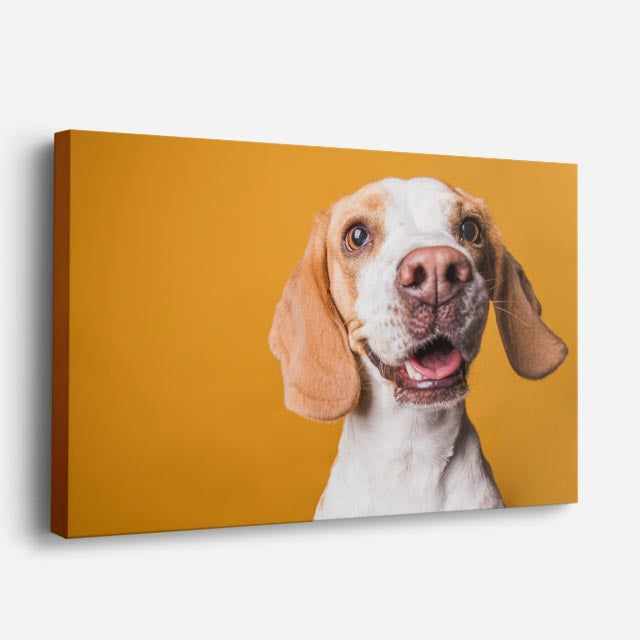 cuadro canvas mascotas sonrisa beagle horizontal