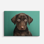 cuadro canvas mascotas mirada cacao horizontal