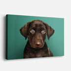 cuadro canvas mascotas mirada cacao horizontal