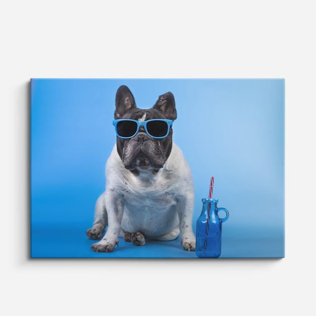 cuadro canvas mascotas verano francés horizontal