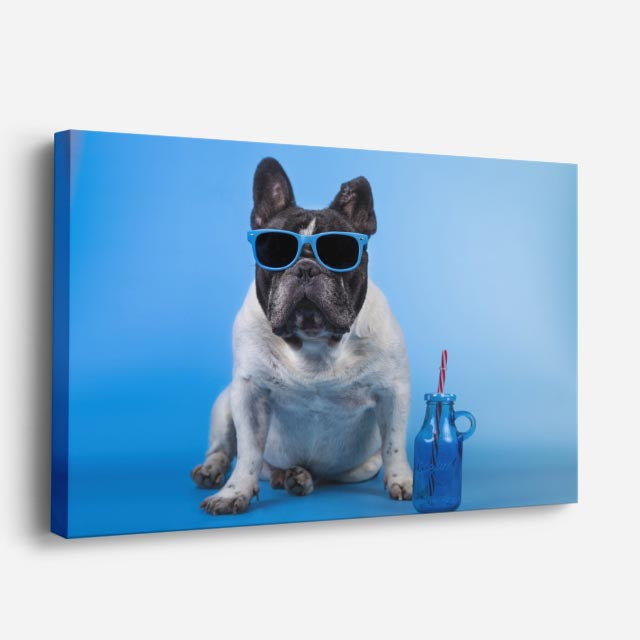 cuadro canvas mascotas verano francés horizontal