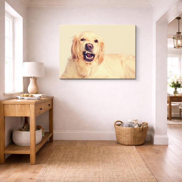 cuadro canvas mascotas risa dorada horizontal