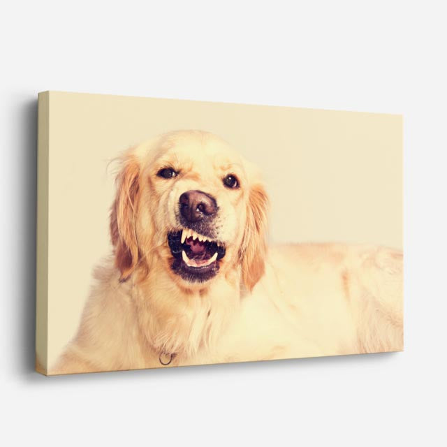 cuadro canvas mascotas risa dorada horizontal