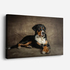 cuadro canvas mascotas guardia bernés horizontal