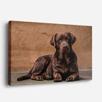 cuadro canvas mascotas reposo cobrizo horizontal