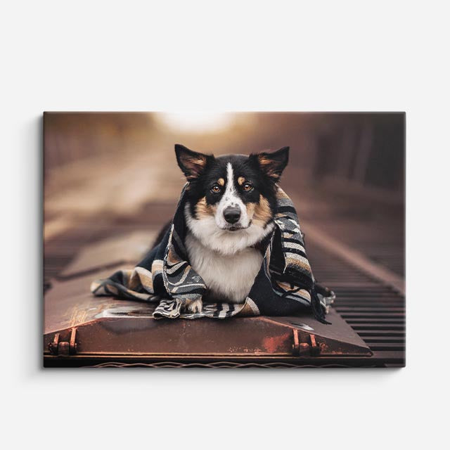 cuadro canvas mascotas manta urbana horizontal