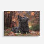 cuadro canvas mascotas bosque de otoño horizontal