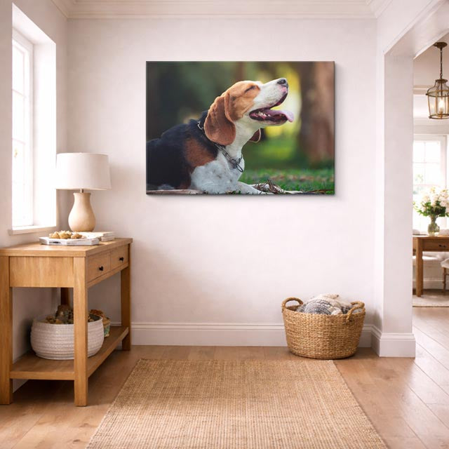 cuadro canvas mascotas brisa beagle horizontal