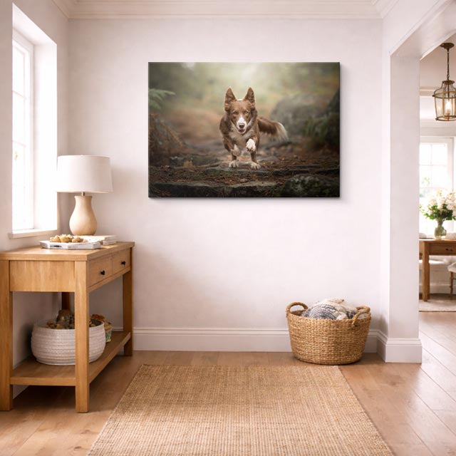 cuadro canvas mascotas carrera corgi horizontal