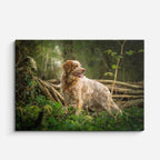cuadro canvas mascotas explorador silvestre horizontal