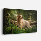 cuadro canvas mascotas explorador silvestre horizontal